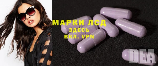 прущие грибы Мегион
