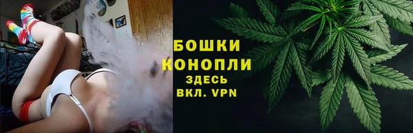 спиды Медногорск