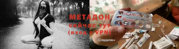прущие грибы Мегион