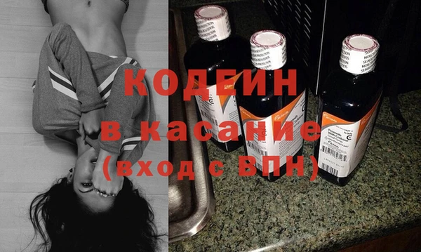 прущие грибы Мегион