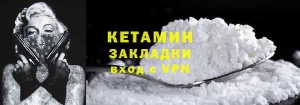прущие грибы Мегион