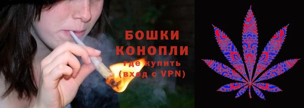 спиды Медногорск