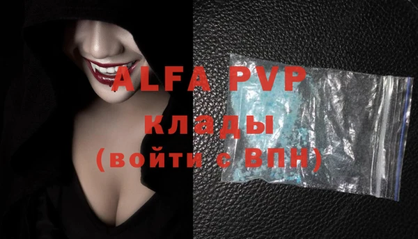 гидра Ельня