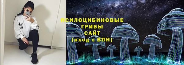 тгк Семилуки