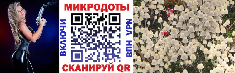 MEGA зеркало Тольятти Галлюциногенные грибы ЛСД