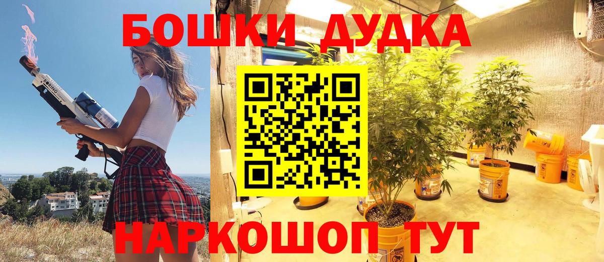 Каннабис план  Бошки Шишки SATIVA & INDICA  Канабис семена  Тольятти  Конопля White Widow  Вход с VPN 